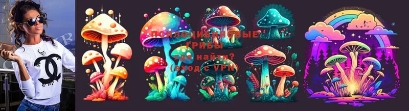 Псилоцибиновые грибы Psilocybe  MEGA вход  Бахчисарай  купить наркоту 